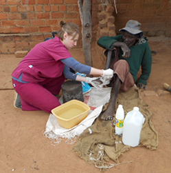 Thumbnail for the post titled: IUK student prepares herbal remedies during Zimbabwe internship